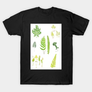 Fern Varieties T-Shirt